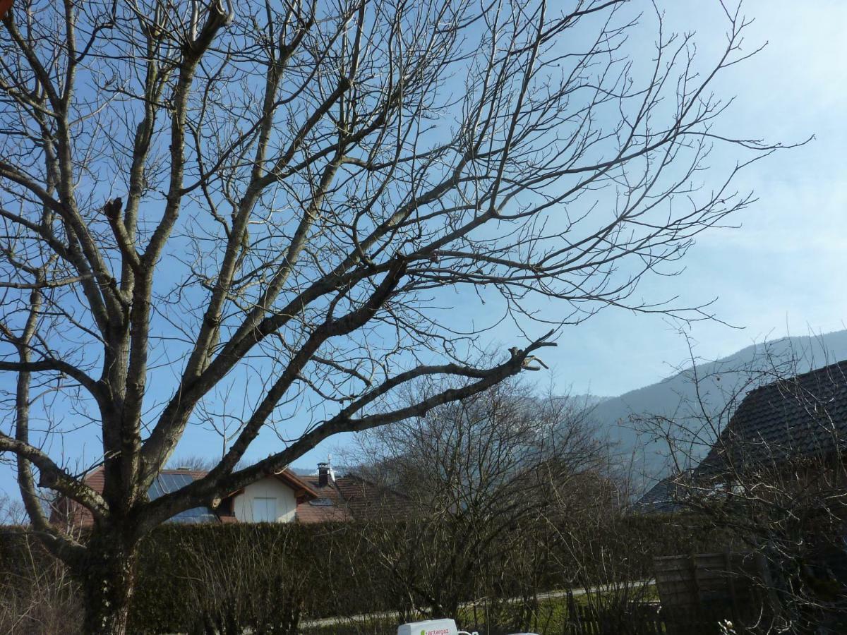 Studio 30 M2 Jardinet 10Minutes Annecy Villa Naves-Parmelan Buitenkant foto